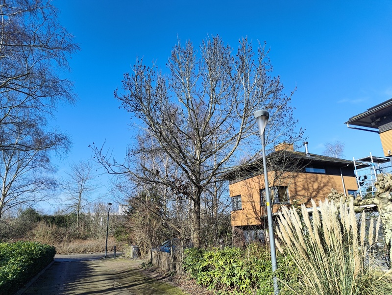 Afbeeldingslocatie: https://tweakers.net/i/Re8w4wa9eP5POeAU8gdy0LWYAlU=/800x/filters:strip_icc():strip_exif()/f/image/x8EQgj8FAjri2wpZbI6CZtiR.jpg?f=fotoalbum_large