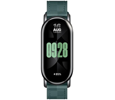 Xiaomi BHR7308GL