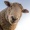 avatar van MekkerSchaap