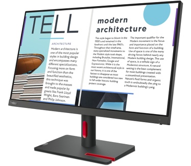 Lenovo ThinkVision S25e-30 Grijs