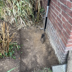 Afbeeldingslocatie: https://tweakers.net/i/RrcIAqRQj86B5SKByp5IMQiUGsI=/232x232/filters:strip_icc():strip_exif()/f/image/Bk3RuXrr1RLOrp6PvMV3omDv.jpg?f=fotoalbum_tile