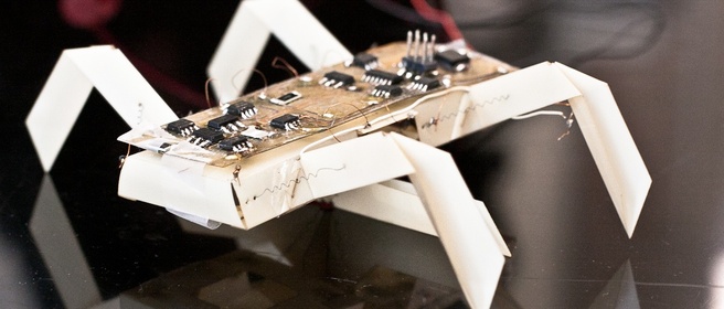 MIT robot-insect