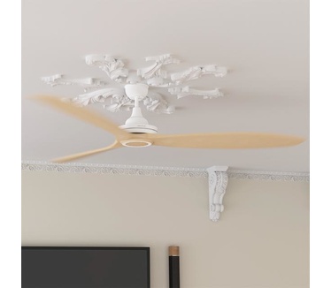Cecotec 05950