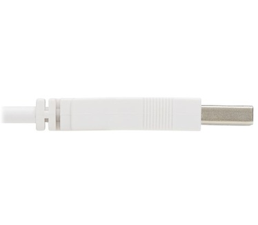 Tripp-Lite U050AB-006-WH