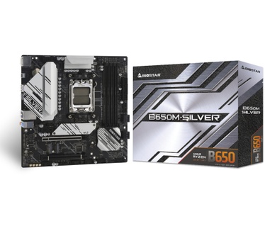 Biostar B650M-Silver