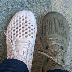 Afbeeldingslocatie: https://tweakers.net/i/Rz9x3HPbWGzLhJCoH-mqKPtFFjA=/232x232/filters:strip_icc():strip_exif()/f/image/U1hrlTA7PeT1or1akABf9g9S.jpg?f=fotoalbum_tile