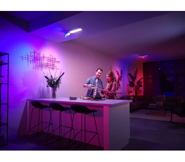 Philips Centris, 2-lichts plafondlamp