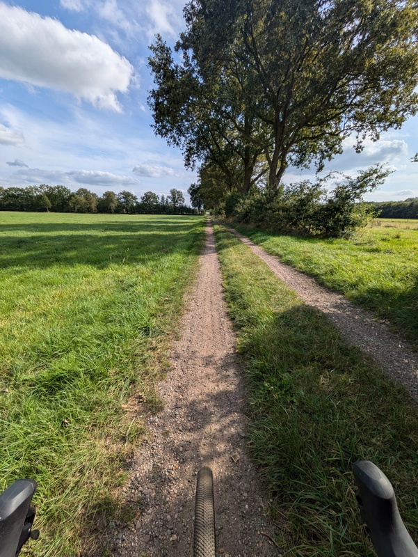 Afbeeldingslocatie: https://tweakers.net/i/S1uFqiLBS2kK_brJV0mH9x77R40=/x800/filters:strip_icc():strip_exif()/f/image/sjgxWfItX8ApxQDEwJYJovQZ.jpg?f=fotoalbum_large