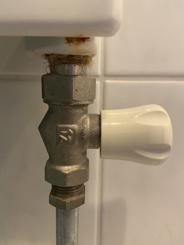 Afbeeldingslocatie: https://tweakers.net/i/S23VoUa-lqsP2HUHuRorllUa3V8=/x800/filters:strip_icc():strip_exif()/f/image/s7jSJTA3JALKNuLYDQSQIy8B.jpg?f=fotoalbum_large