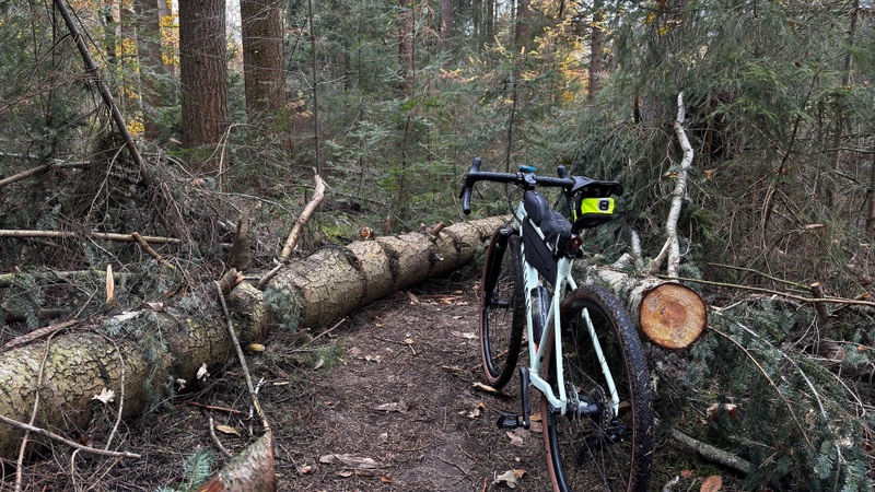 Afbeeldingslocatie: https://tweakers.net/i/S2cFYJOTmyZ3btVCD8KaXoGhEJs=/800x/filters:strip_icc():strip_exif()/f/image/qKELVD9xkhlMcWVwdupTORtI.jpg?f=fotoalbum_large