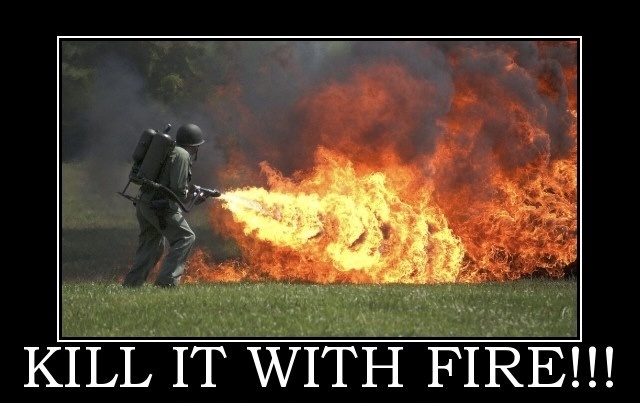 Afbeeldingslocatie: https://tweakers.net/i/S4M16d3lmL8FQW7PYWKYTEcNGso=/fit-in/4920x3264/filters:max_bytes(3145728):no_upscale():strip_icc():strip_exif()/f/image/rKA2QAoW3aRLNvY9xc1Bob72.jpg?f=user_large