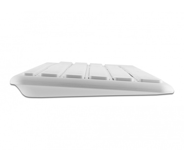 Delock 12703