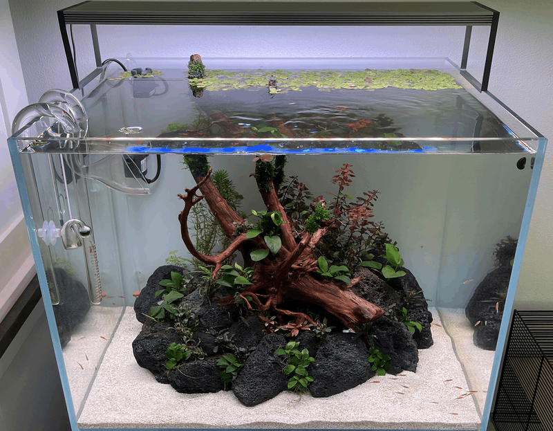 Afbeeldingslocatie: https://tweakers.net/i/S5gmVPYC4zQoAEtcqefWA8AZqEU=/800x/filters:strip_exif()/f/image/7LN8PlCWVQIcawfXLQROEbOX.png?f=fotoalbum_large