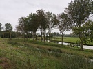 Cameratest Apple iPhone 18 Pro - Primaire camera overdag