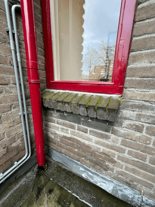 Afbeeldingslocatie: https://tweakers.net/i/S8_4vHa3vK09lEsoA9pjO-cUpJE=/x800/filters:gifsicle():strip_exif()/f/image/JGs4nGHX3m90WxTyRc01f2zT.gif?f=fotoalbum_large
