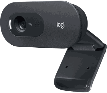 Logitech C505e webcam 1280 x 720 Pixels USB Zwart