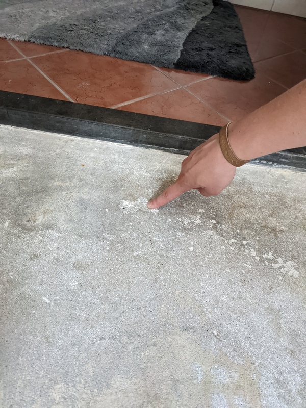 Afbeeldingslocatie: https://tweakers.net/i/SFylFKKy107U6rVIUp0buhf9kRI=/x800/filters:strip_icc():strip_exif()/f/image/s5vygpaiP0pBWKNriCYd2Gng.jpg?f=fotoalbum_large