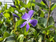 Cameratest iPhone 17e - Twee keer zoom