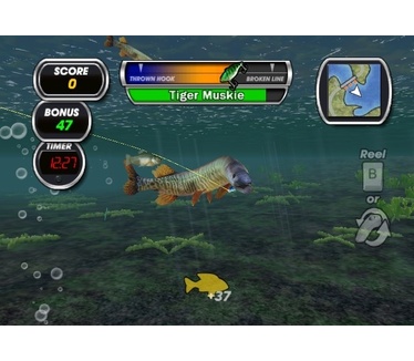 Shimano eXtreme Fishing