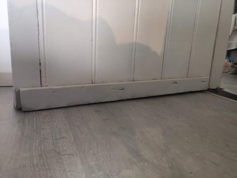 Afbeeldingslocatie: https://tweakers.net/i/SKpXvLzpUh4Gy2QifHQnT4etLmk=/800x/filters:strip_icc():strip_exif()/f/image/clevUS4tY6GxTJqjolRMA2Ps.jpg?f=fotoalbum_large