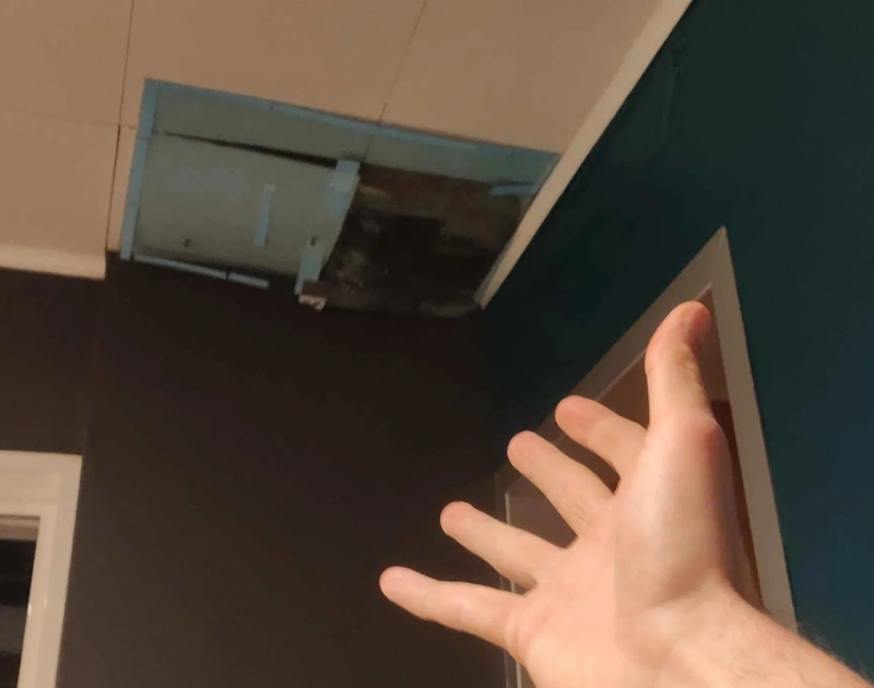 Afbeeldingslocatie: https://tweakers.net/i/SM4L9jwv_G1jK4xDD6voqVLI4KA=/800x/filters:strip_exif()/f/image/rSIWMv2U50qLXU2ohxSy6jQA.webp?f=fotoalbum_large