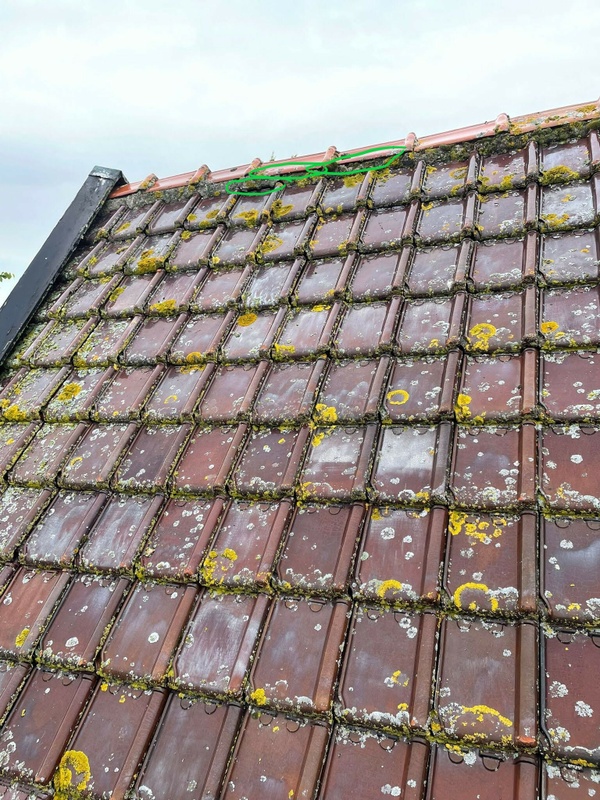 Afbeeldingslocatie: https://tweakers.net/i/SNr0pHwvy-kTd98-4bV3Ls-SVcQ=/x800/filters:strip_icc():strip_exif()/f/image/kJRhXtN0gMbf402FGqYK8iom.jpg?f=fotoalbum_large