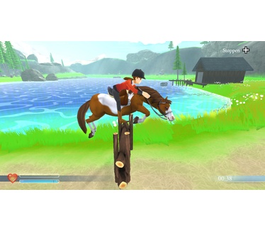 Mijn Paardenwereld, Switch