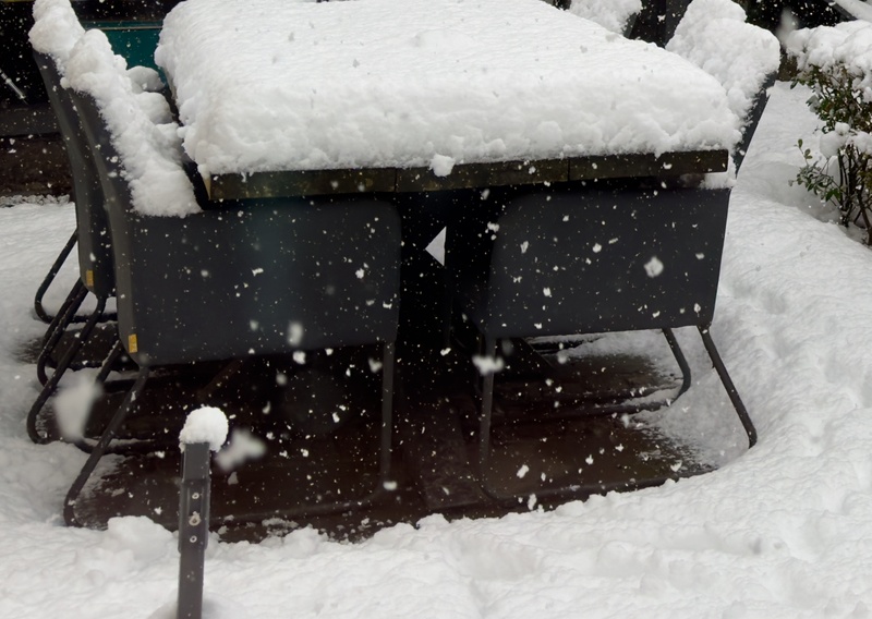 Afbeeldingslocatie: https://tweakers.net/i/SOZ7b54NVDM8CPO2pGMGm7uVWJ4=/800x/filters:strip_icc():strip_exif()/f/image/FKRMTmycLJmPhqQ76mB2i7xv.jpg?f=fotoalbum_large