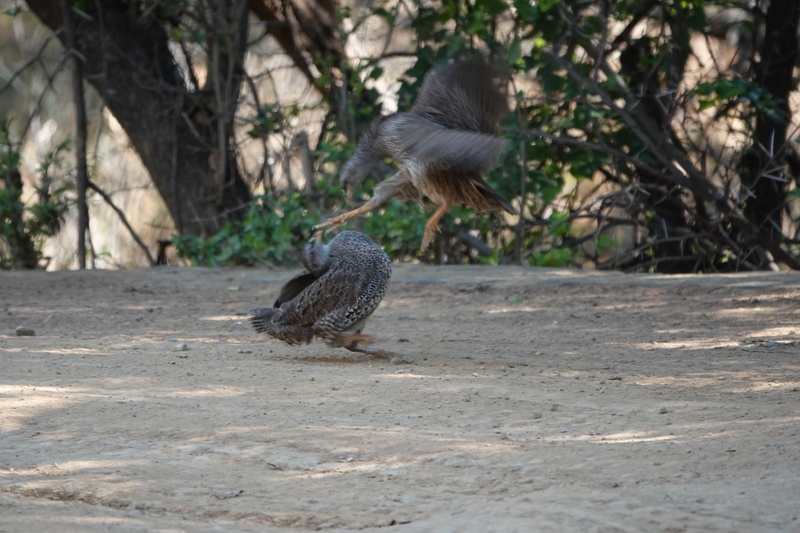 Afbeeldingslocatie: https://tweakers.net/i/SRR4Zc0E9Xn6lGj67zJy54ywJoY=/800x/filters:strip_icc():strip_exif()/f/image/9c4Wyi24PLvyllqgwwer0Sqy.jpg?f=fotoalbum_large