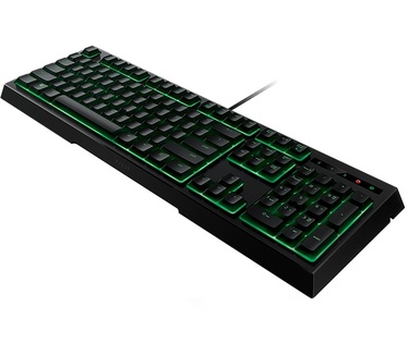 Razer Ornata