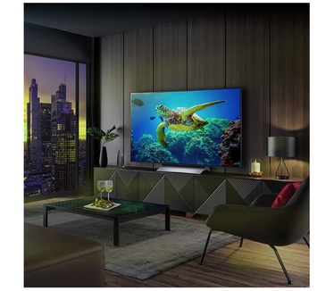 LG OLED evo C3 65" (C34) Zwart