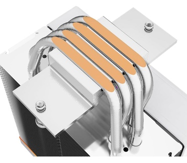 Jungle Leopard KF420