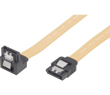 Renkforce RF-4241961