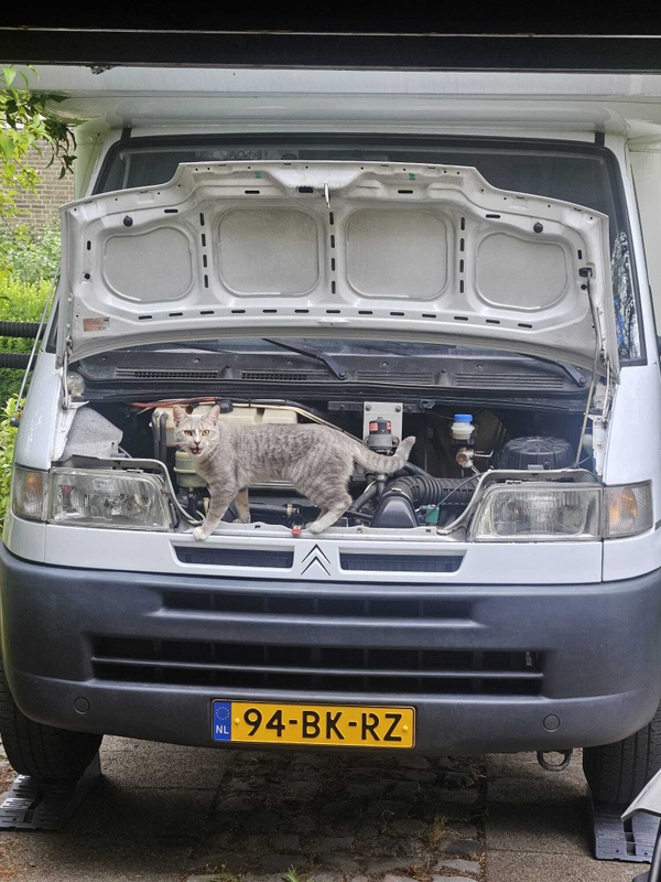Afbeeldingslocatie: https://tweakers.net/i/SXmEhHMhWD6MwotN40G7Hor6wV8=/x800/filters:strip_icc():strip_exif()/f/image/tqD7zqWXfLCDgjDMn6lR6kpl.jpg?f=fotoalbum_large