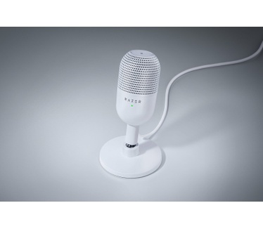Razer RZ19-05050300-R3M1