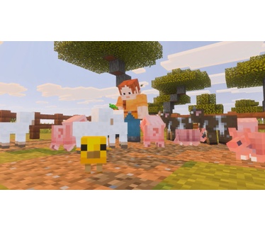 Minecraft