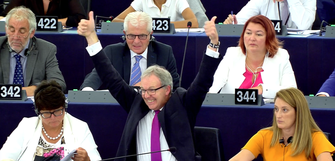 Axel Voss na stemming