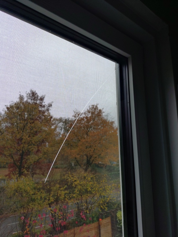 Afbeeldingslocatie: https://tweakers.net/i/SaZhY35_bOvfbsKy2sO3uI1xns8=/x800/filters:strip_icc():strip_exif()/f/image/u2MbN8CflbkdLe531L9FaDsp.jpg?f=fotoalbum_large