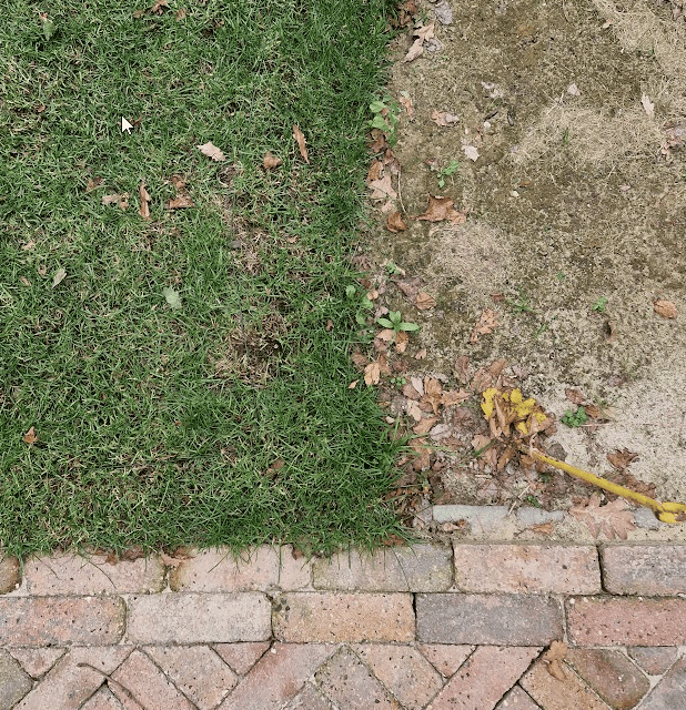 Afbeeldingslocatie: https://tweakers.net/i/Sbc13MUOawRosiaTTxtdYJ0GbqM=/full-fit-in/4000x4000/filters:no_upscale():fill(white):strip_exif()/f/image/nCaeN9WBXfVMeBQfrXALn18y.png?f=user_large