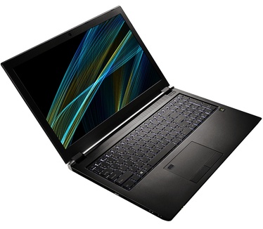 PNY PREVAILPRO P3000