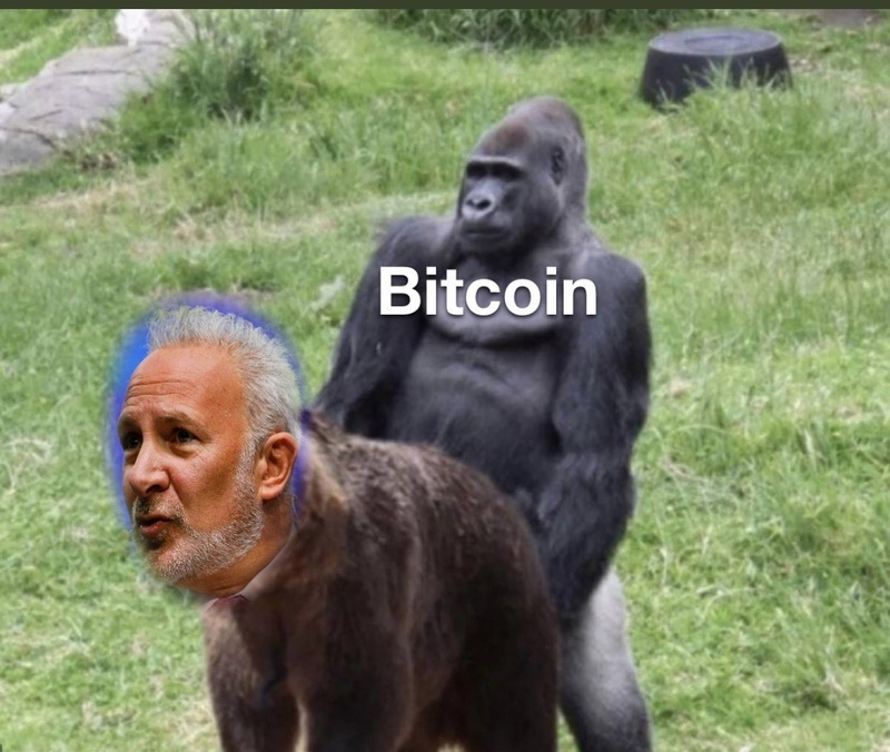 Afbeeldingslocatie: https://tweakers.net/i/SdBjwEpaCSRNCdDBZJJhPCytKqQ=/800x/filters:strip_icc():strip_exif()/f/image/IqBt9e9fhUkEfNoqEUtgjDZ7.jpg?f=fotoalbum_large