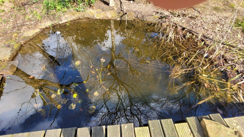 Afbeeldingslocatie: https://tweakers.net/i/SdzjzcltUNV-EwrHBNinlNlGBY8=/800x/filters:strip_icc():strip_exif()/f/image/hzwbGhYJoPjiX98Y8joVeCvW.jpg?f=fotoalbum_large