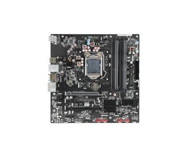 EVGA P55 V