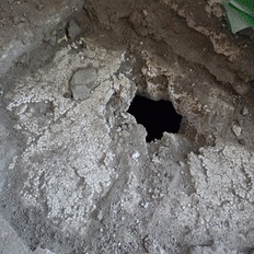 Afbeeldingslocatie: https://tweakers.net/i/SoV35ToppYkfqu_TyMfI5dB0Kcc=/232x232/filters:strip_icc():strip_exif()/f/image/0ZatsdEFmqenuSuv1AnUW9js.jpg?f=fotoalbum_tile