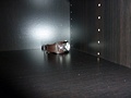 Panasonic DMC-TZ10 schaduw