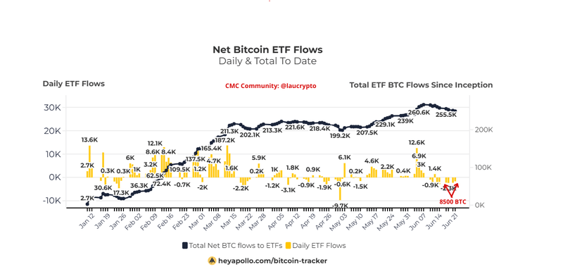 Afbeeldingslocatie: https://tweakers.net/i/Sphpyo2tL-i0scCJCiMfq6F738o=/800x/filters:strip_exif()/f/image/DjYKe4KVYZsKKBRJhKY5BXjm.png?f=fotoalbum_large