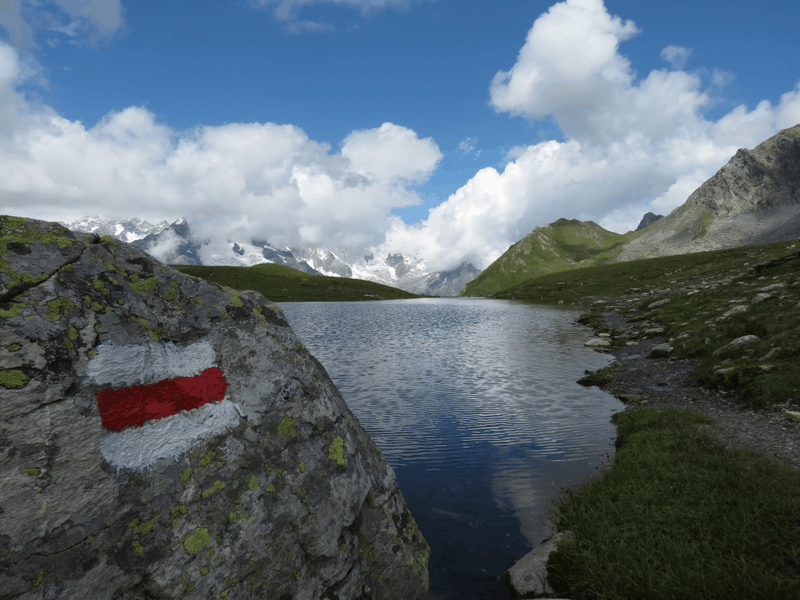 Afbeeldingslocatie: https://tweakers.net/i/Stxx3QZEr3JHWlXg48ZjZ9OLsNg=/800x/filters:strip_exif()/f/image/A8fYkrVOChL7vawiLZBZ1MKx.png?f=fotoalbum_large