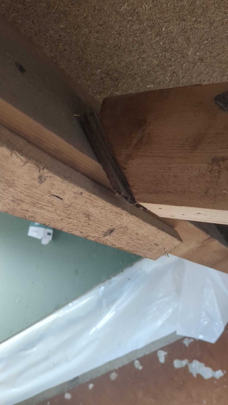 Afbeeldingslocatie: https://tweakers.net/i/SuK5ZuNska2zUKg1ZLKlsPckooo=/x800/filters:strip_icc():strip_exif()/f/image/TkVjMKpS1KPFz28MrhBGGwZG.jpg?f=fotoalbum_large