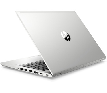 HP ProBook 455 G7 (12X14E)
