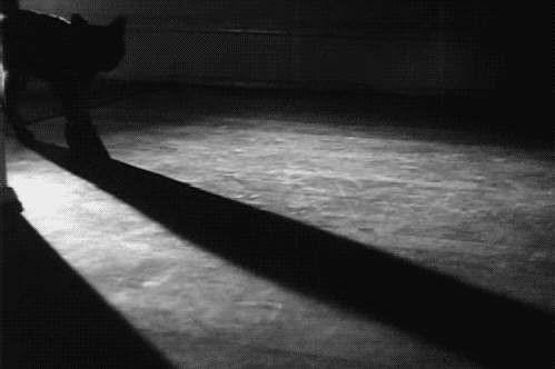 Afbeeldingslocatie: https://tweakers.net/i/SvNvnjAFPcYdneAqi6RqHX-MKjg=/fit-in/4000x4000/filters:no_upscale():gifsicle():strip_exif()/f/image/JuK0mClhHlCUuXqrKcuUt4QS.gif?f=user_large